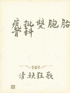 疯批双胞胎兄弟骨科