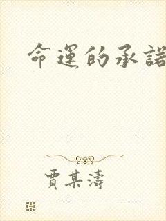 命运的承诺