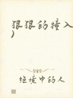 狠狠的撞入(h)