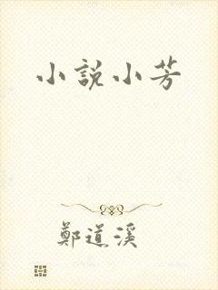 小说小芳