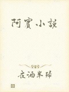 阿宾小说