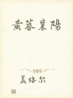 黄蓉襄阳