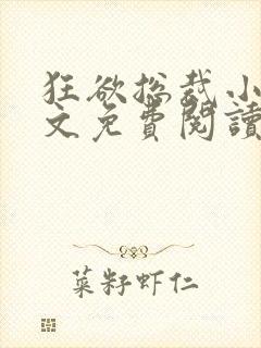 狂欲总裁小说全文免费阅读封面