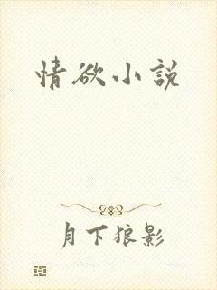 情欲小说封面