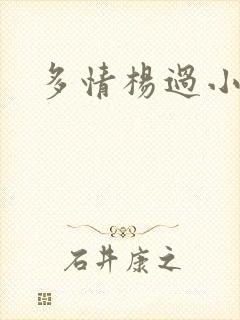 多情杨过小说