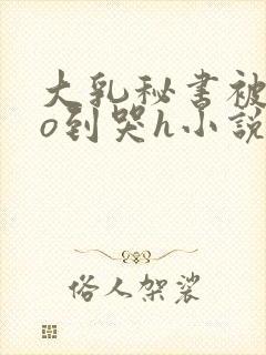 大乳秘书被cao到哭h小说