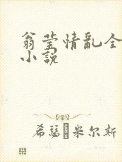 翁莹情乱全部篇小说封面