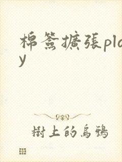 棉签扩张play