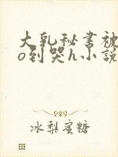 大乳秘书被cao到哭h小说