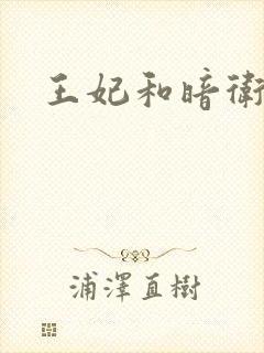 王妃和暗卫野H