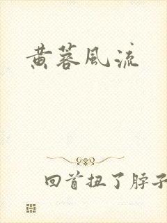 黄蓉风流封面