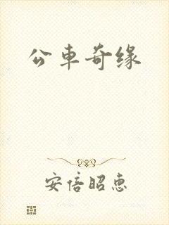 公车奇缘