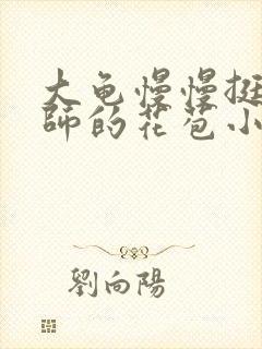 大龟慢慢挺进老师的花苞小说封面
