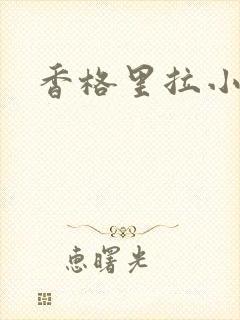 香格里拉小说封面