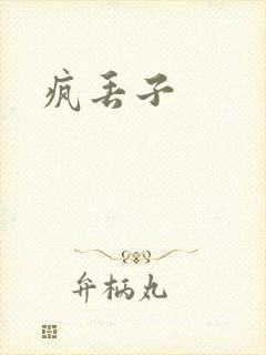 疯丢子封面