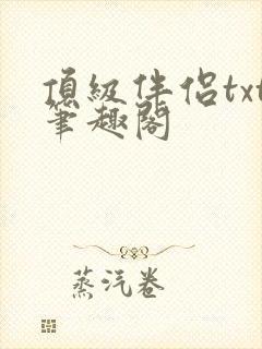 顶级伴侣txt笔趣阁
