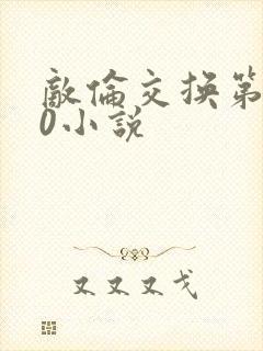 敌伦交换第150小说封面