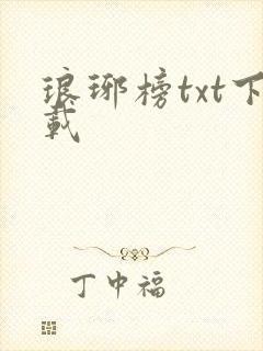 琅琊榜txt下载