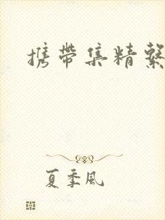 携带集精系统