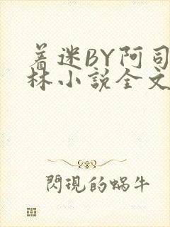 着迷BY阿司匹林小说全文免费阅读