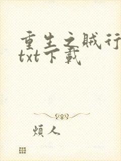 重生之贼行天下txt下载