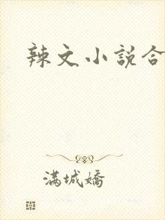 辣文小说合集封面