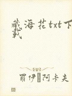 藏海花txt下载