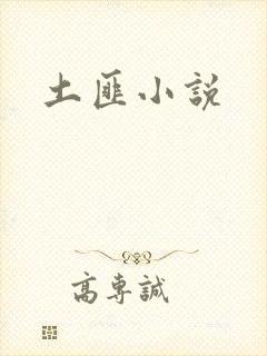 土匪小说