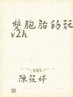 双胞胎的玩具1v2h