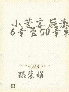 小莹客厅激情46章至50章软件介绍封面