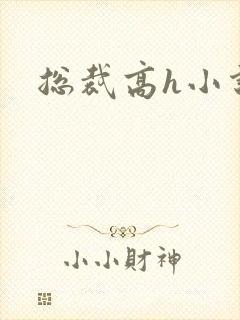 总裁高h小说