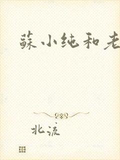 苏小纯和老苏