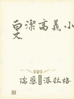 白洁高义小说全文