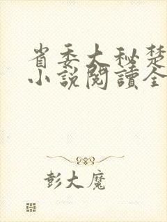 省委大秘楚东恒小说阅读全文封面