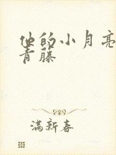他的小月亮by青藤