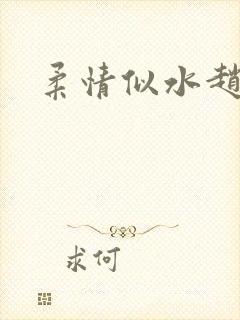 柔情似水赵雅儿封面