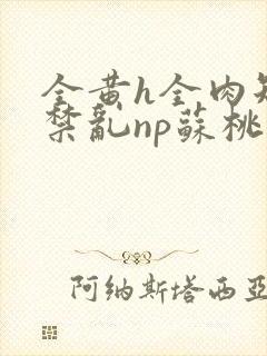 全黄h全肉短篇禁乱np苏桃