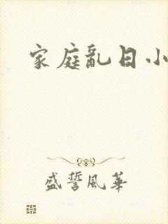 家庭乱日小说
