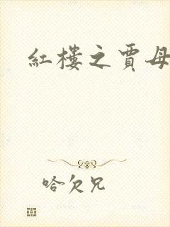 红楼之贾母