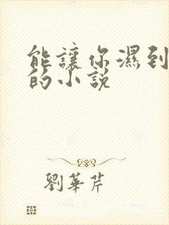 能让你湿到不行的小说