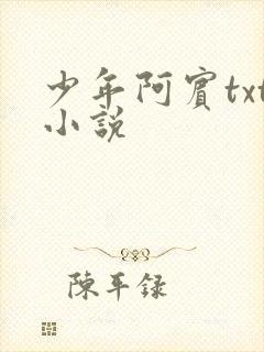 少年阿宾txt小说