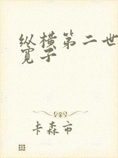 纵横第二世界 宽子