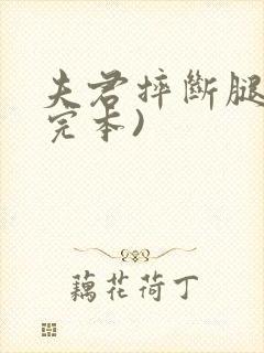 夫君摔断腿后(完本)