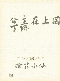 公主在上国师请下轿封面
