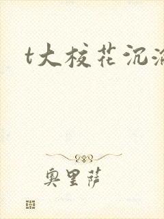 t大校花沉沦封面