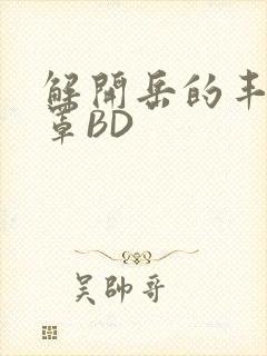 解开岳的丰满奶罩BD