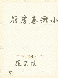 厨房春潮小说