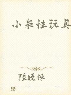 小米性玩具日记
