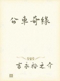 公车奇缘