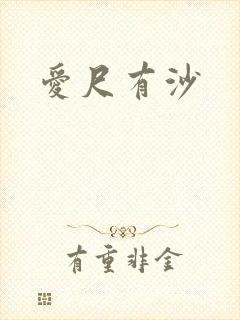 爱尺有沙封面